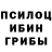 Псилоцибиновые грибы GOLDEN TEACHER ly_mila shvedova