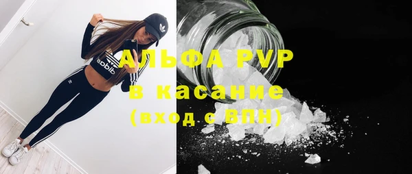 прущие крисы Белокуриха