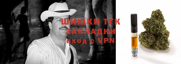прущие крисы Белокуриха