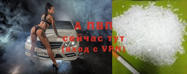 прущие крисы Белокуриха