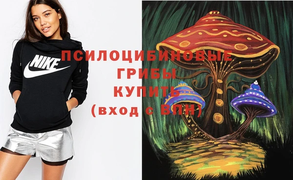 прущие крисы Белокуриха