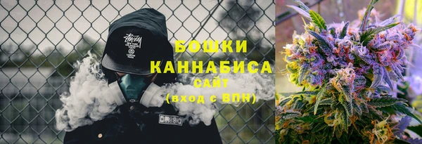 прущие крисы Белокуриха