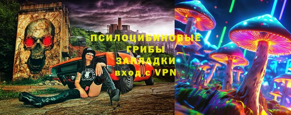 прущие крисы Белокуриха