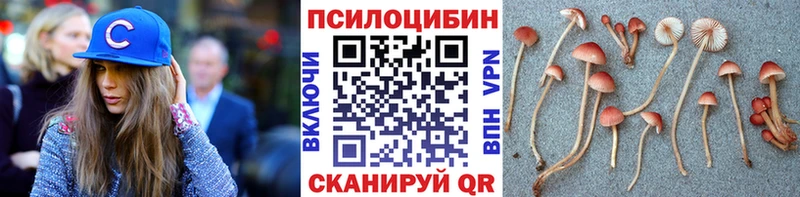 мориарти телеграм  Златоуст  Псилоцибиновые грибы Psilocybine cubensis 